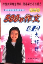 小学生500字作文精品大视野