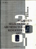 2001深圳建筑表现艺术精品