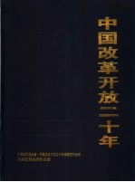 中国改革开放二十年  宏观体制改革卷  宏观、流通、分配、城市、政府