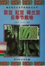 菜豆  豇豆  荷兰豆反季节栽培