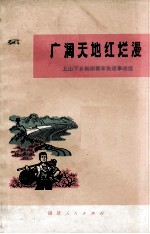 广阔天地红烂漫  上山下乡知识青年先进世纪选