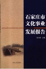 石家庄市文化事业发展报告