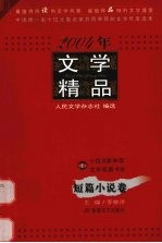 2004年文学精品  短篇小说卷