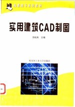 实用建筑CAD制图