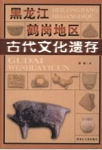 黑龙江鹤岗地区古代文化遗存