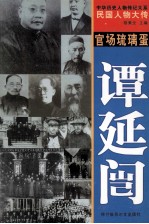 中华历史人物传记大系  民国人物大传  官场琉璃蛋·谭延闿