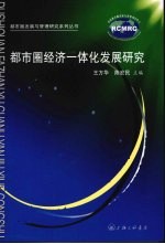 都市圈经济一体化发展研究