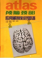 颅脑颈部应用解剖彩色图谱  英汉对照