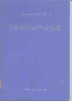 中国科学技术蓝皮书  第7号  中国的知识产权制度