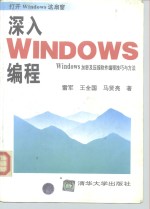 深入Windows编程 Windows加密及压缩软件编程技巧与方法