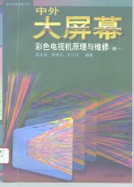 中外大屏幕彩色电视机原理与维修  续一