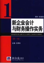 新企业会计与财务操作实务  第1卷