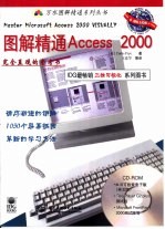 图解精通Access 2000