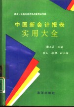 中国新会计报表实用大全