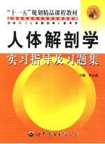 人体解剖学实习指导及习题集