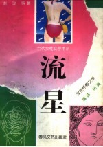 流星  女性忏悔文学