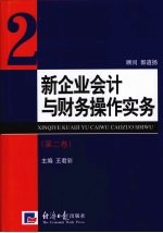 新企业会计与财务操作实务  第2卷