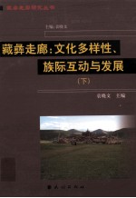 藏彝走廊  文化多样性、族际互动与发展  下