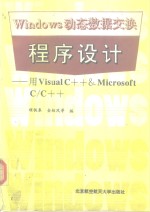 Windows 动态数据交换程序设计  用Visual C++& Microsoft C/C++