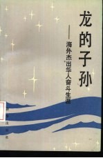 龙的子孙  海外杰出华人奋斗生涯