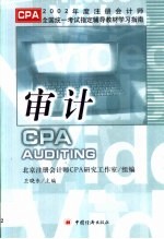 2002年度注册会计师全国统一考试指定辅导教材学习指南  审计