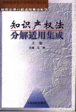 知识产权法分解适用集成  上