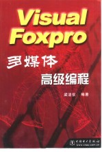 Visual Foxpro多媒体高级编程