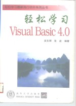 轻松学习Visual Basic 4.0