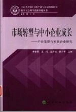 市场转型与中小企业成长  产业集群与家族企业研究