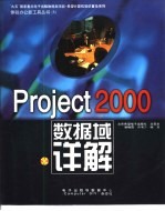 Project 2000数据域详解