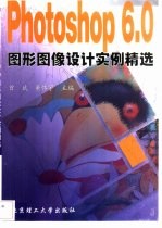 Photoshop 6.0图形图像设计实例精选