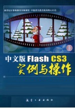 中文版Flash CS3实例与操作