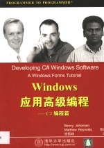 Windows应用高级编程  C#编程篇