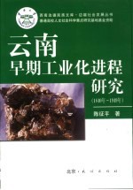 云南早期工业化进程研究  1840年-1949年