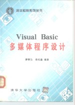 Visual Basic多媒体程序设计