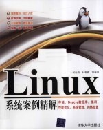 Linux系统案例精解  存储、Oracle数据库、集群、性能优化、系统管理、网络配置