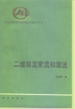 二维非定常流和激波