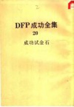 DFP成功全集  卷20  成功试金石