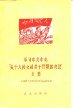 学习中共中央“关于人民公社若干问题的决议”文集