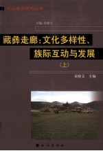 藏彝走廊  文化多样性、族际互动与发展  上