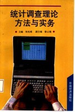 统计调查理论、方法与实务