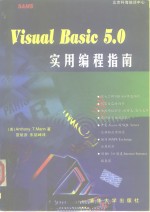 Visual Basic 5.0实用编程指南