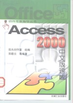 Access 2000中文版速成