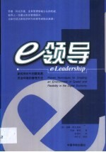 e领导 新经济时代创建高速、灵活环境的管理方法