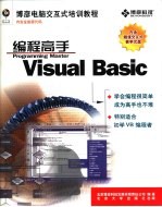 Visual Basic编程高手