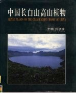 中国长白山高山植物  图集