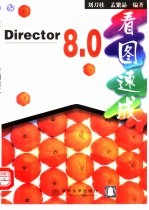 Director 8.0看图速成