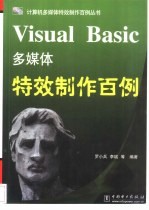 Visual Basic多媒体特效制作百例