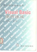 Visual Basic使用速成