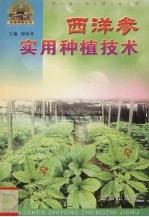 西洋参实用种植技术